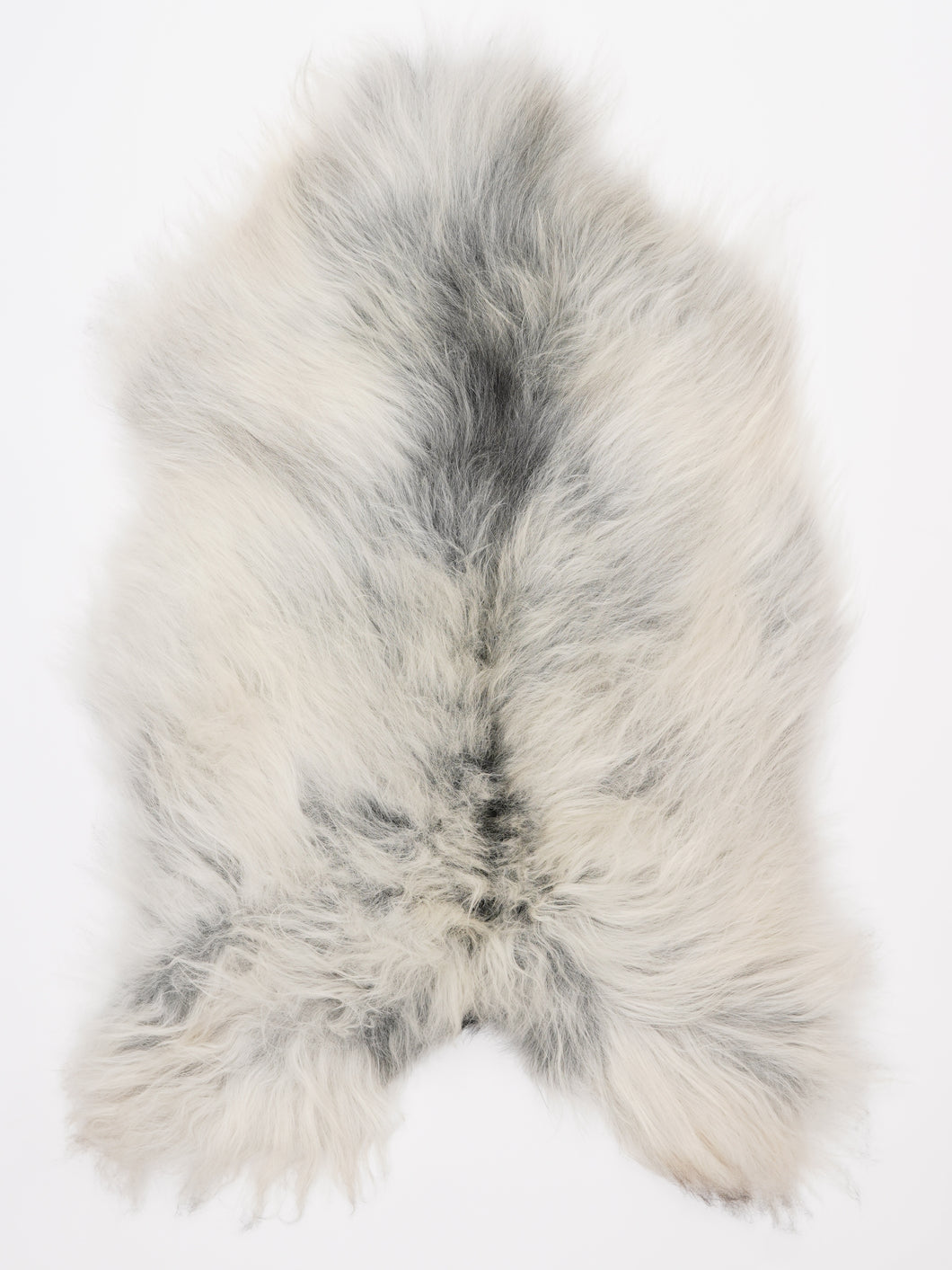 Islandiškas avikailis L