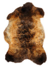"Rusty" Daudzkrāsaina aitāda M