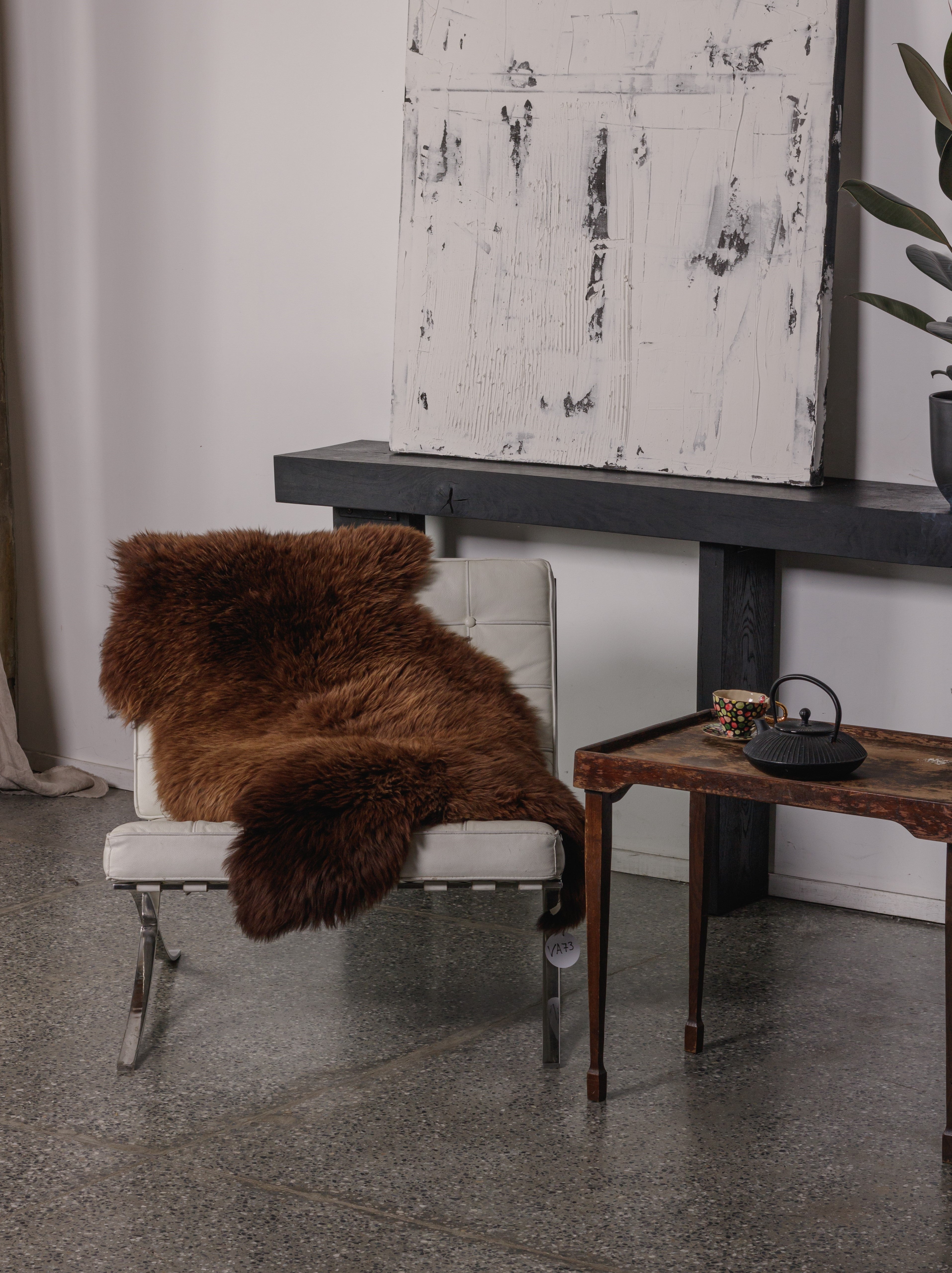 rudas avikailis ant kėdės