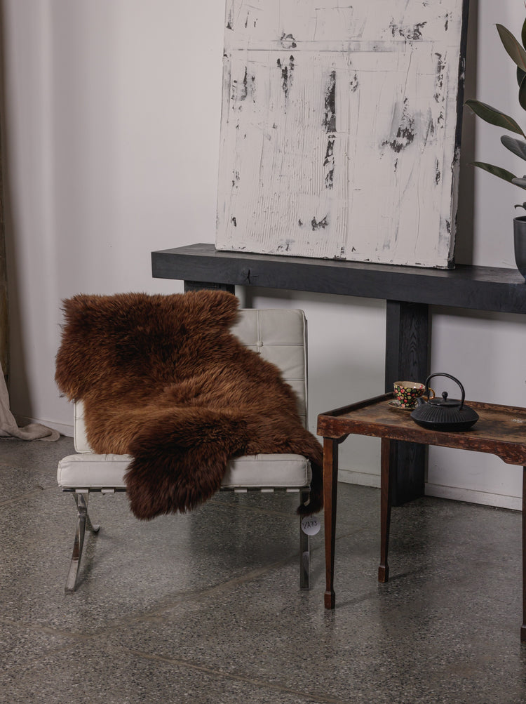 rudas avikailis ant kėdės