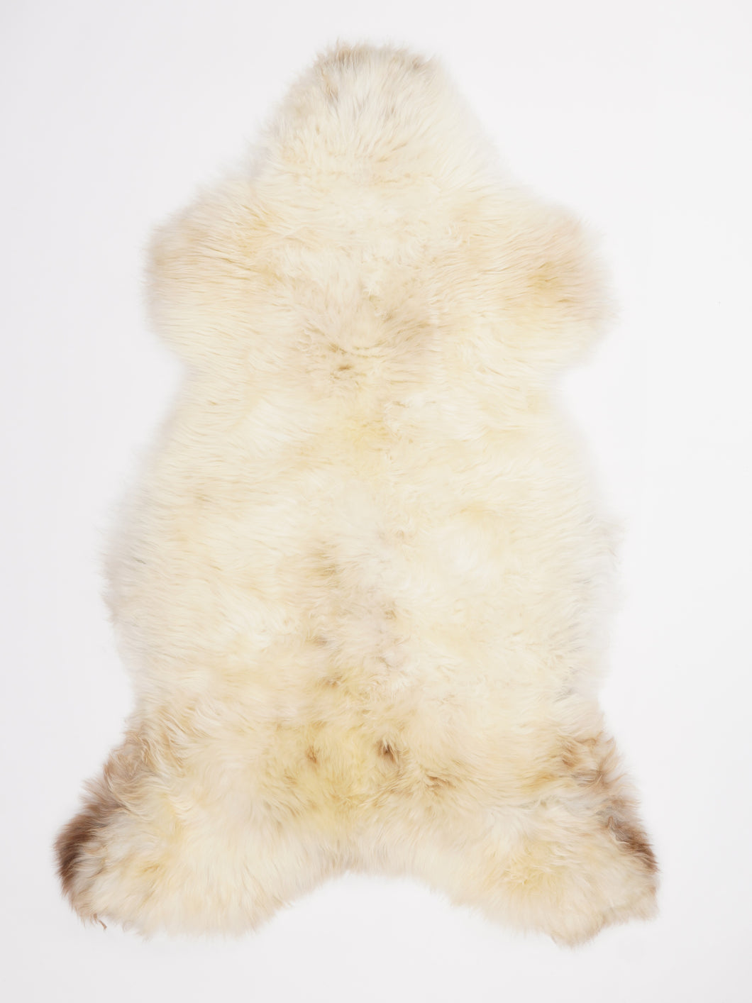 Įvairiaspalvis avikailis XL