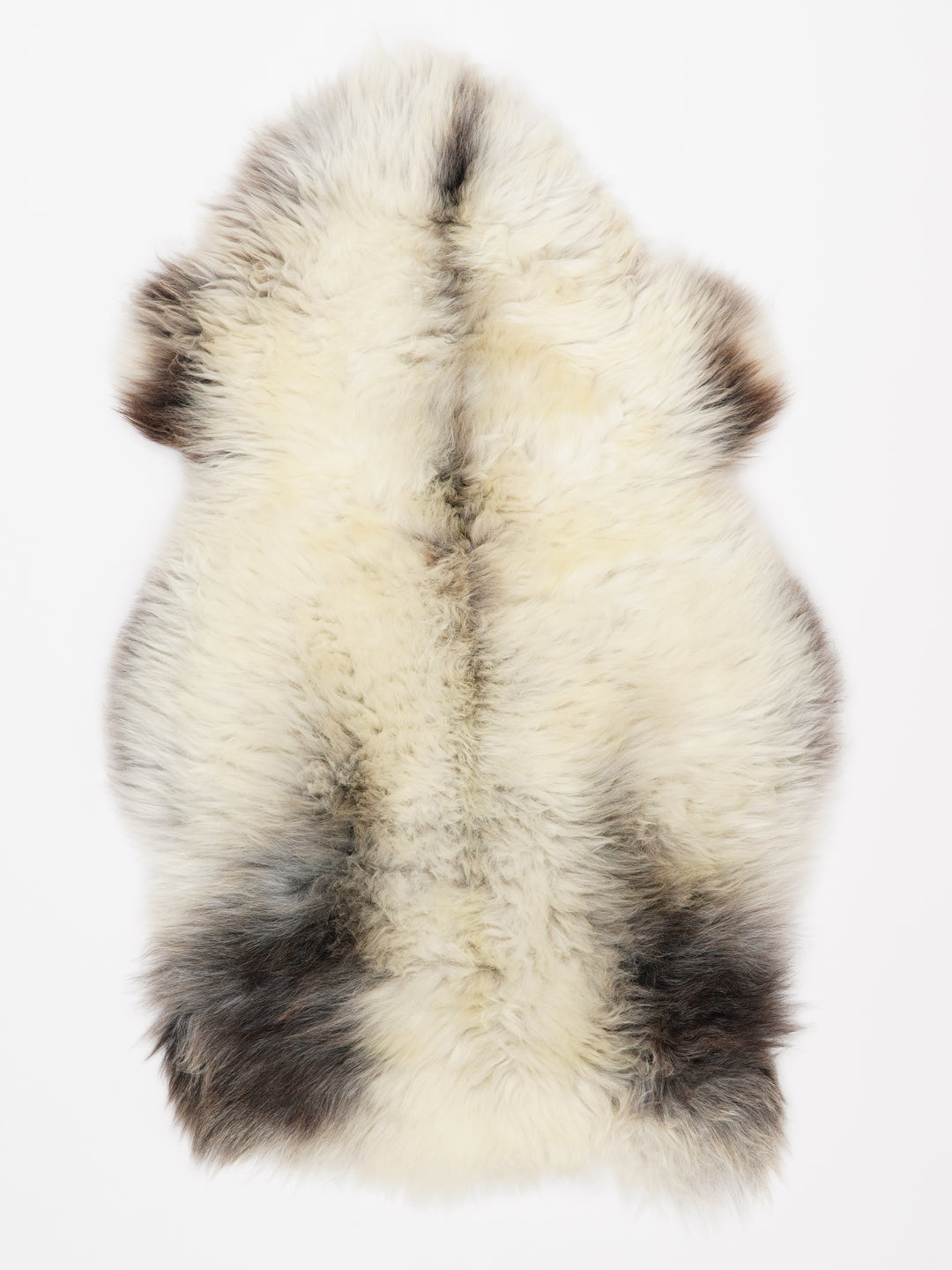 Įvairiaspalvis avikailis M