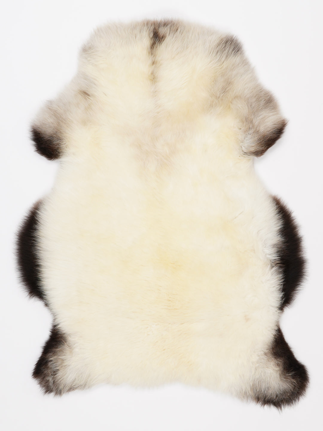 Įvairiaspalvis avikailis M