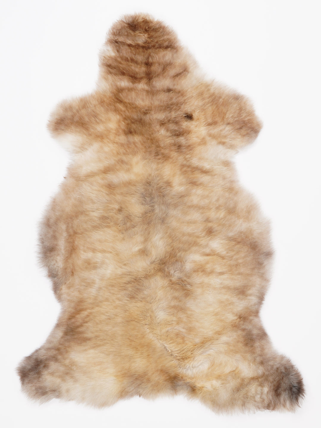 Įvairiaspalvis avikailis L