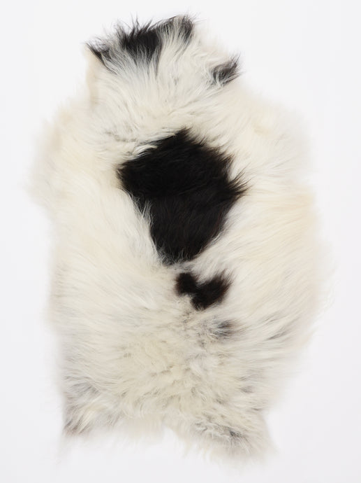 Islandiškas avikailis S