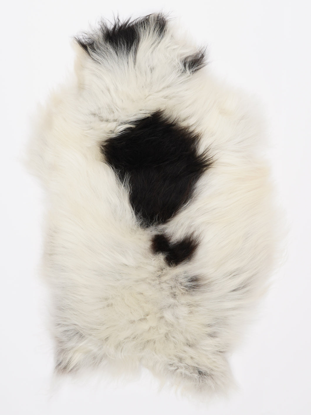 Islandiškas avikailis S