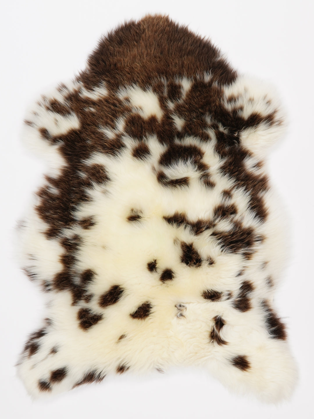 Įvairiaspalvis avikailis S