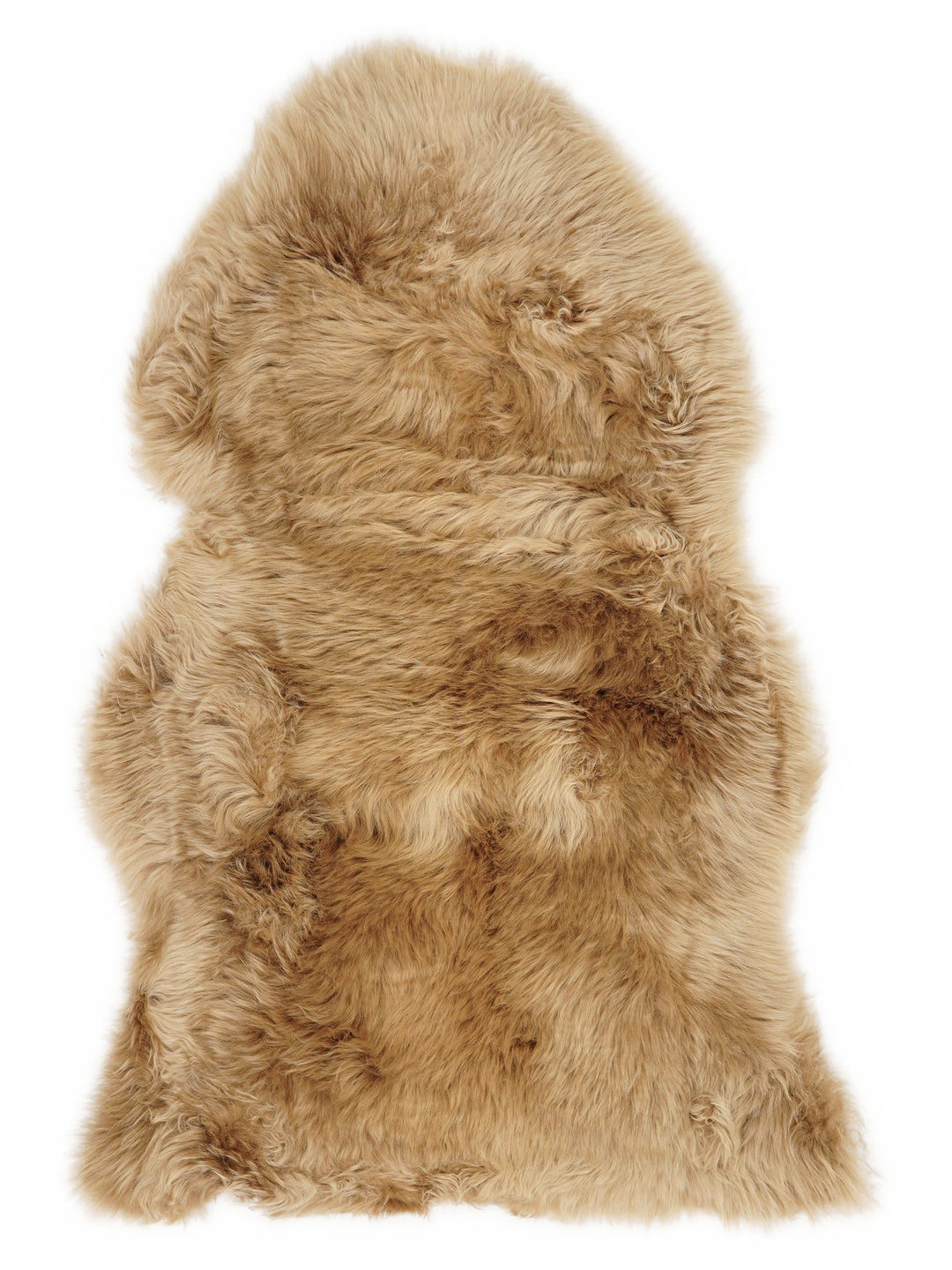 Naujosios Zelandijos avikailis 100 cm – Ginger