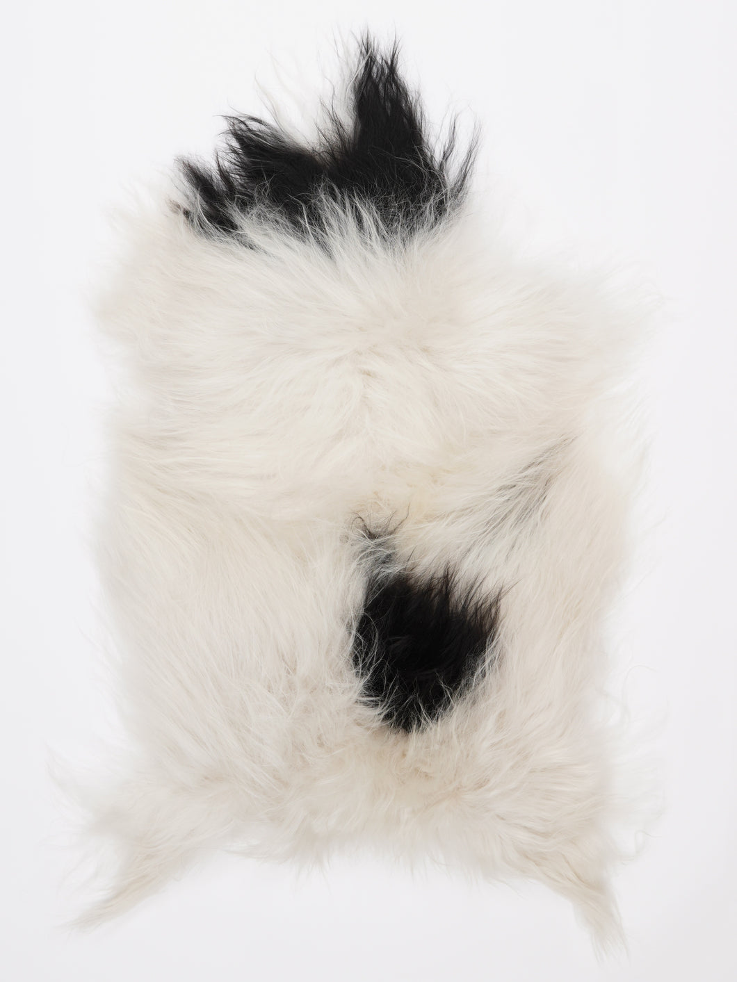 Islandiškas avikailis M