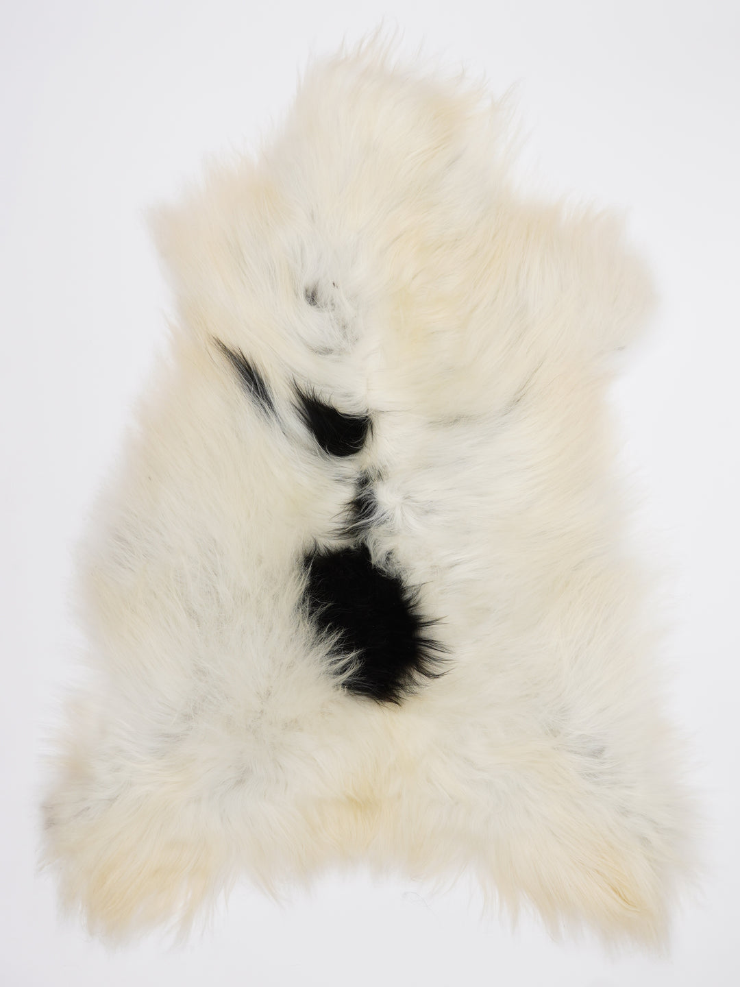 Islandiškas avikailis XL