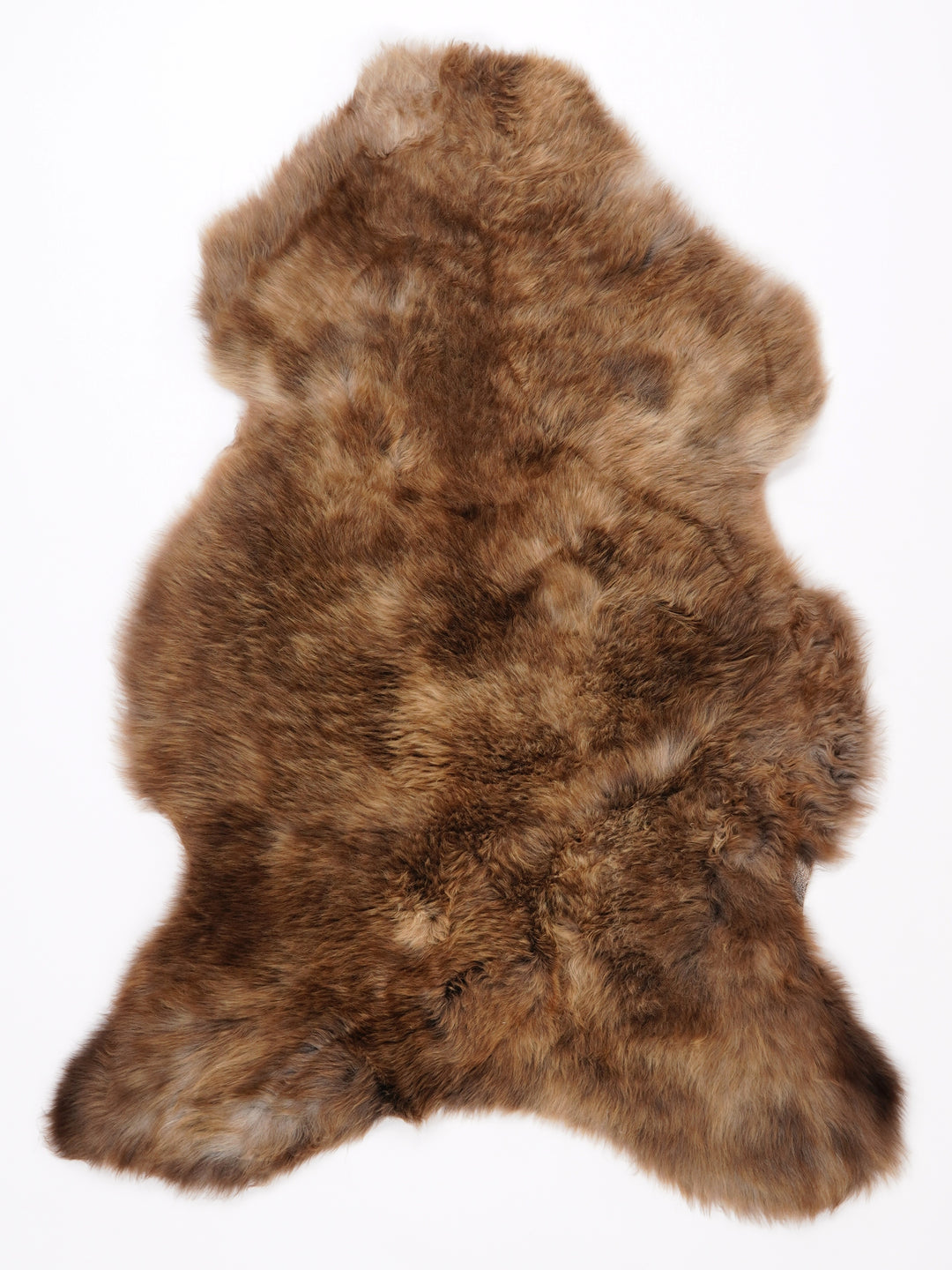 Įvairiaspalvis avikailis M