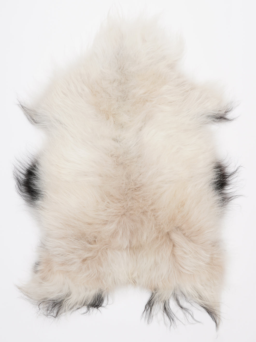 Islandiškas avikailis M