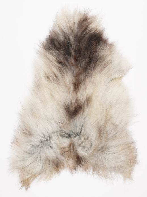 Pilkas islandiškas avikailis L