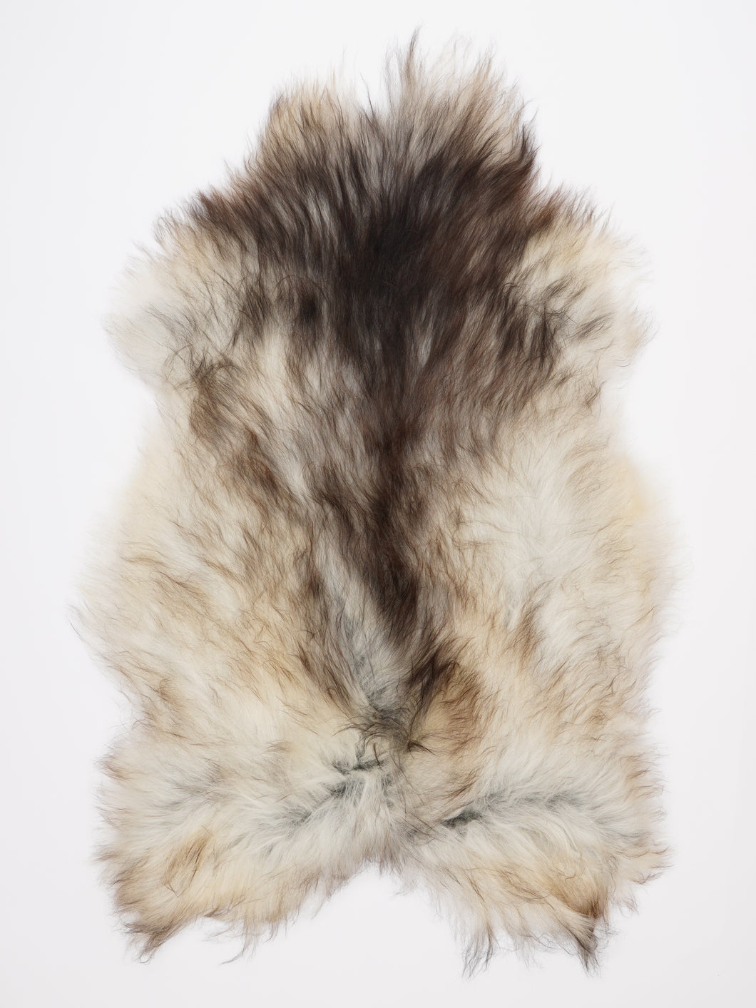 Islandiškas avikailis XL