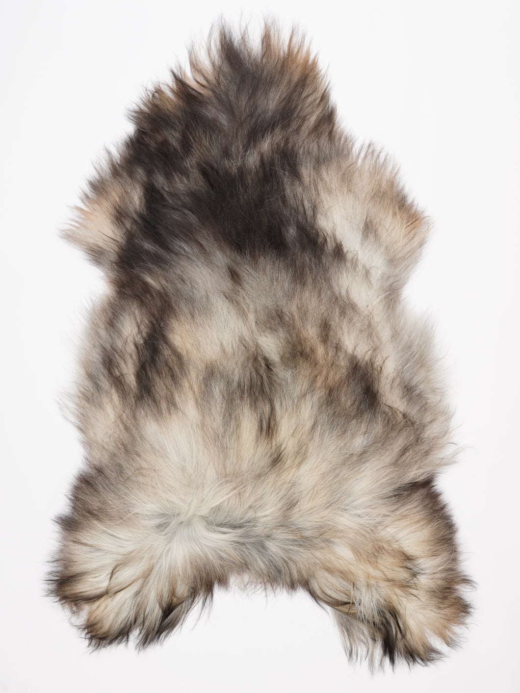 Pilkas islandiškas avikailis XXXL