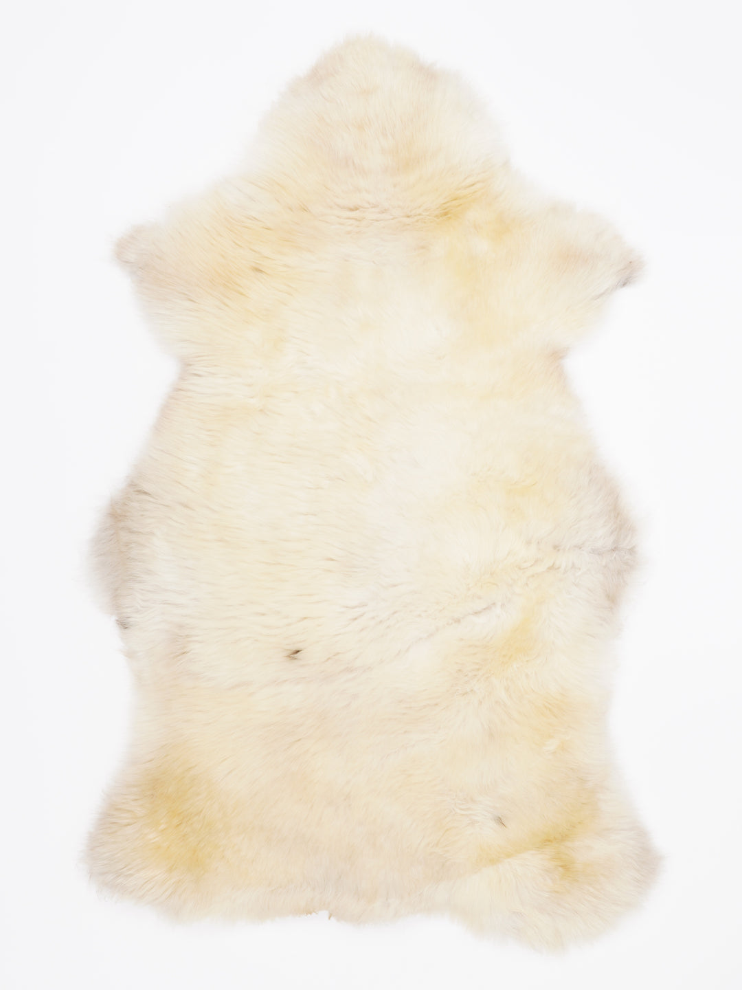 Įvairiaspalvis avikailis XL