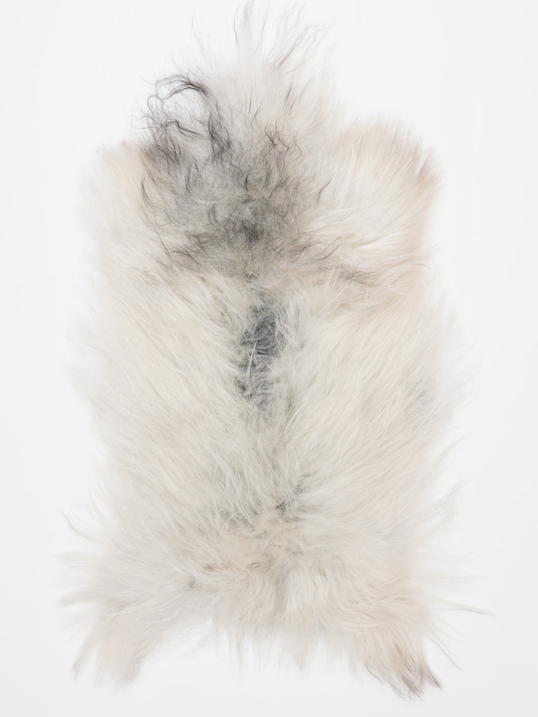 Islandiškas avikailis M