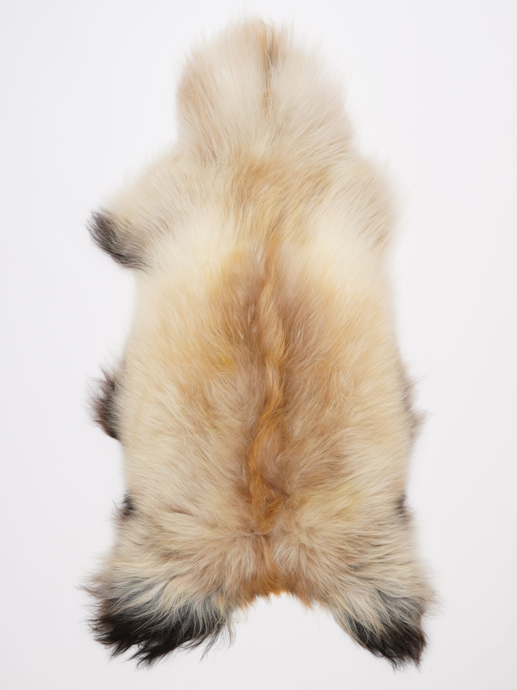 Islandiškas avikailis XL