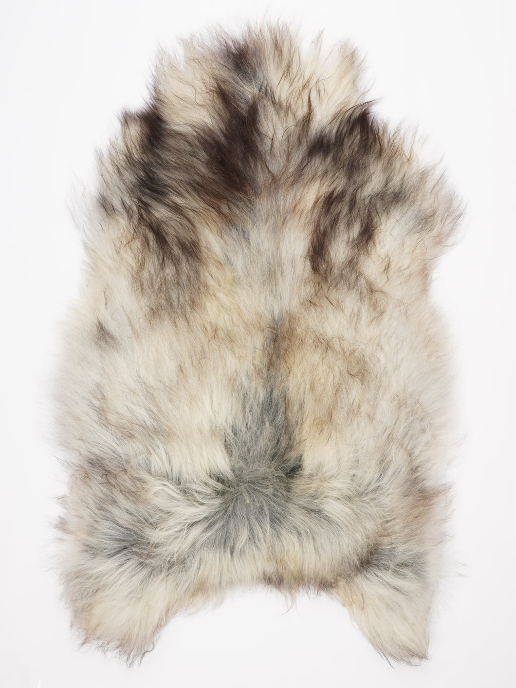 Islandiškas avikailis XXXL