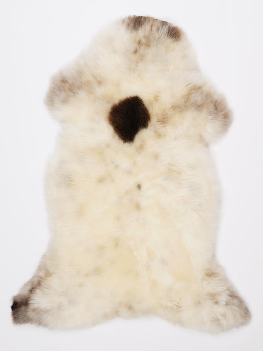 Įvairiaspalvis avikailis L