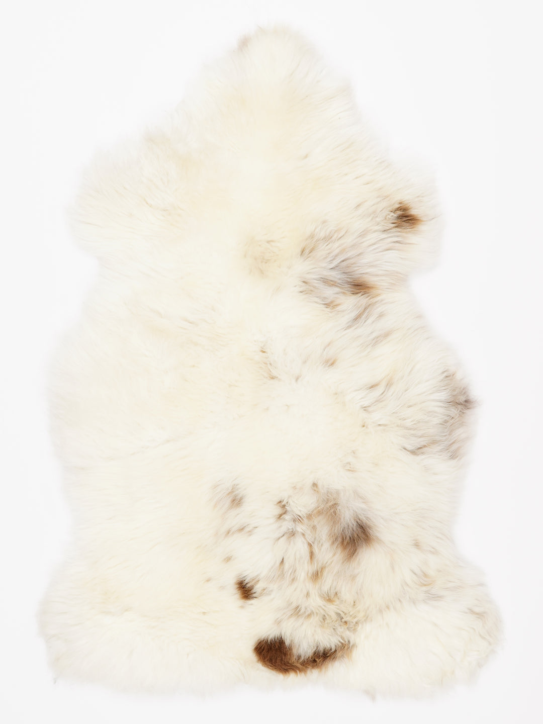 Įvairiaspalvis avikailis L