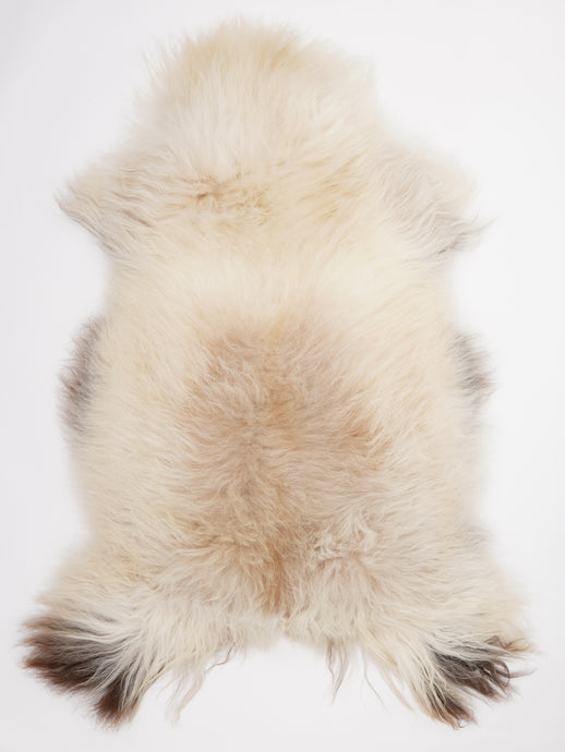 Islandiškas avikailis XXXL