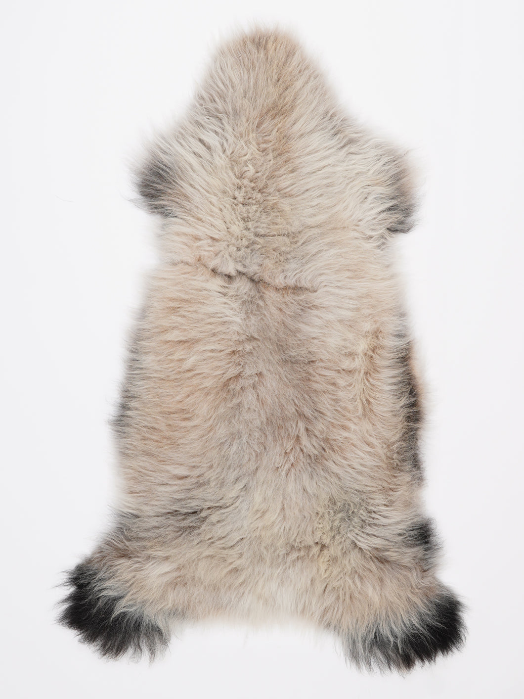 Įvairiaspalvis avikailis L