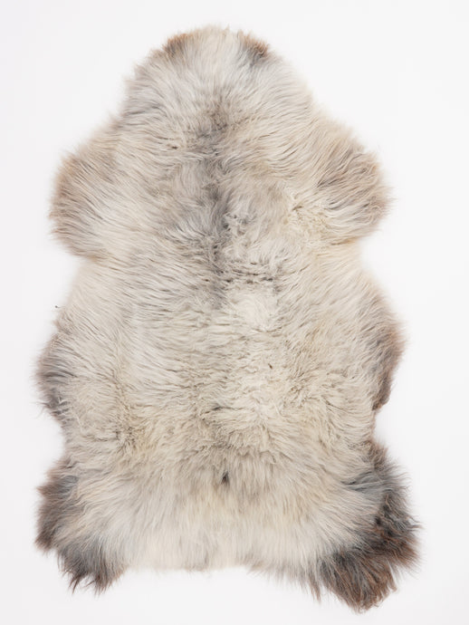 Įvairiaspalvis avikailis XL