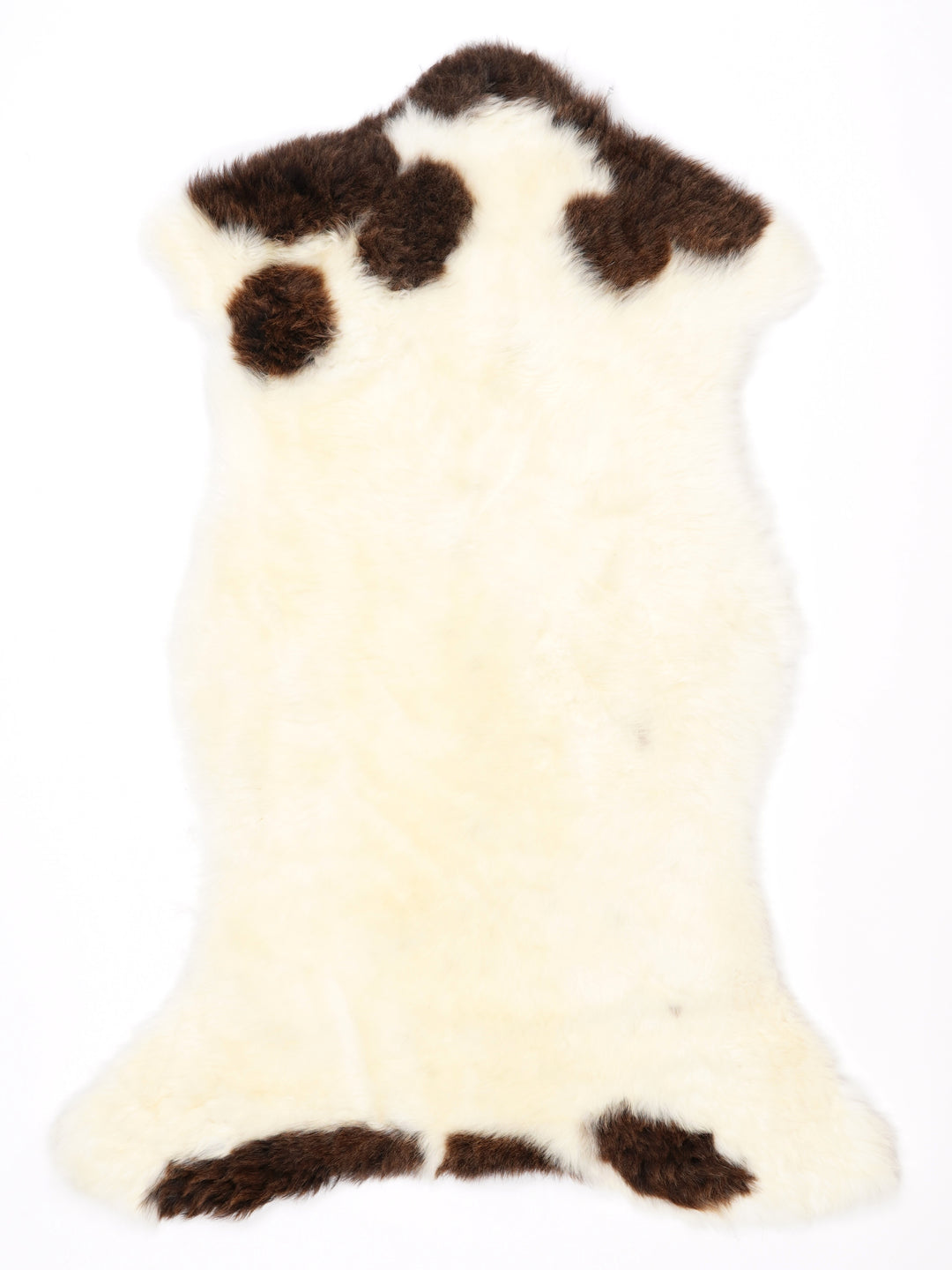 Įvairiaspalvis avikailis L