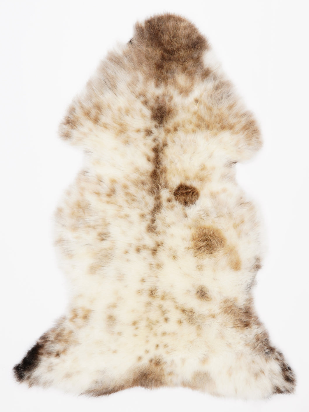 Įvairiaspalvis avikailis L