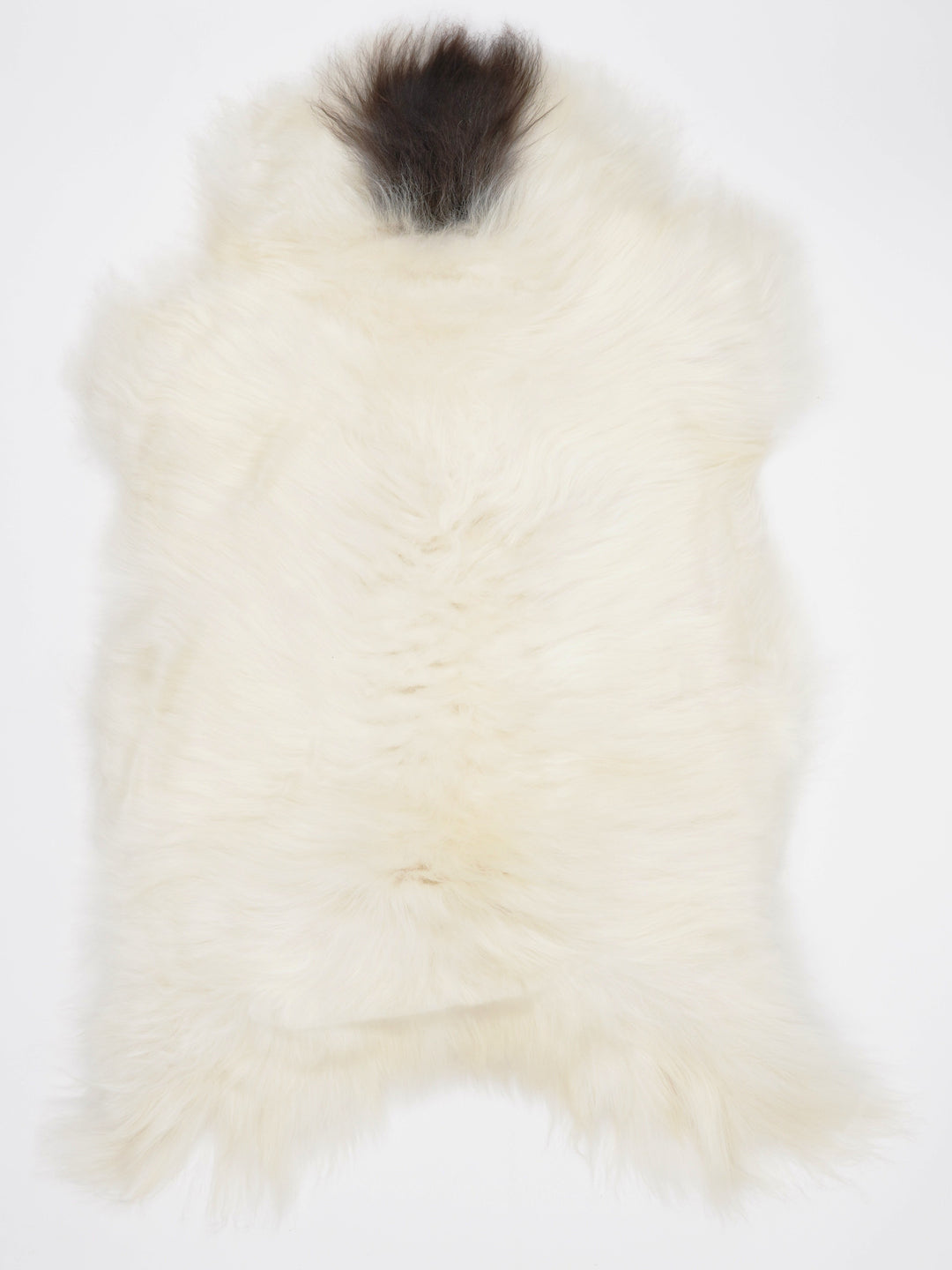Islandiškas avikailis XL