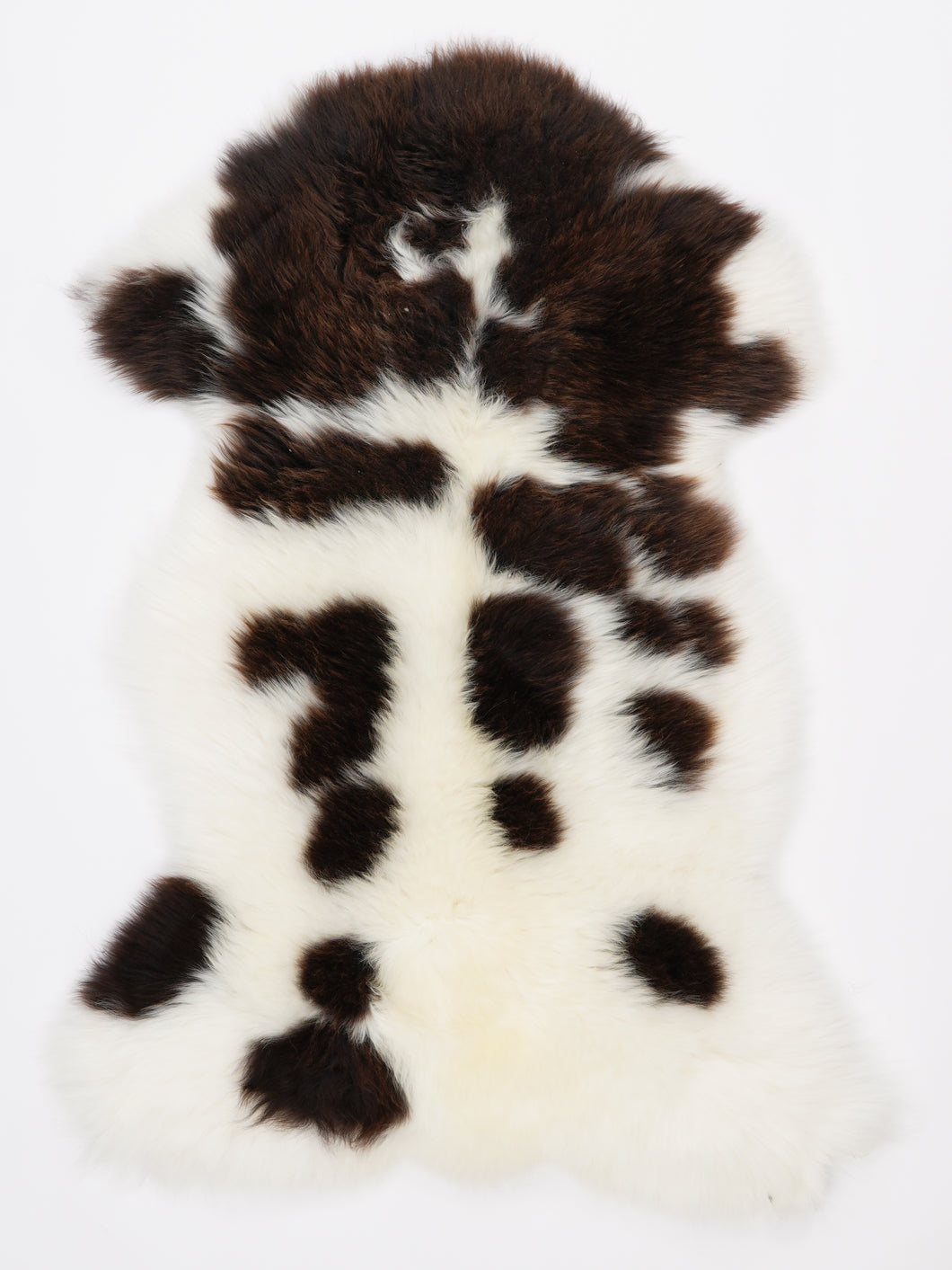 Įvairiaspalvis avikailis L