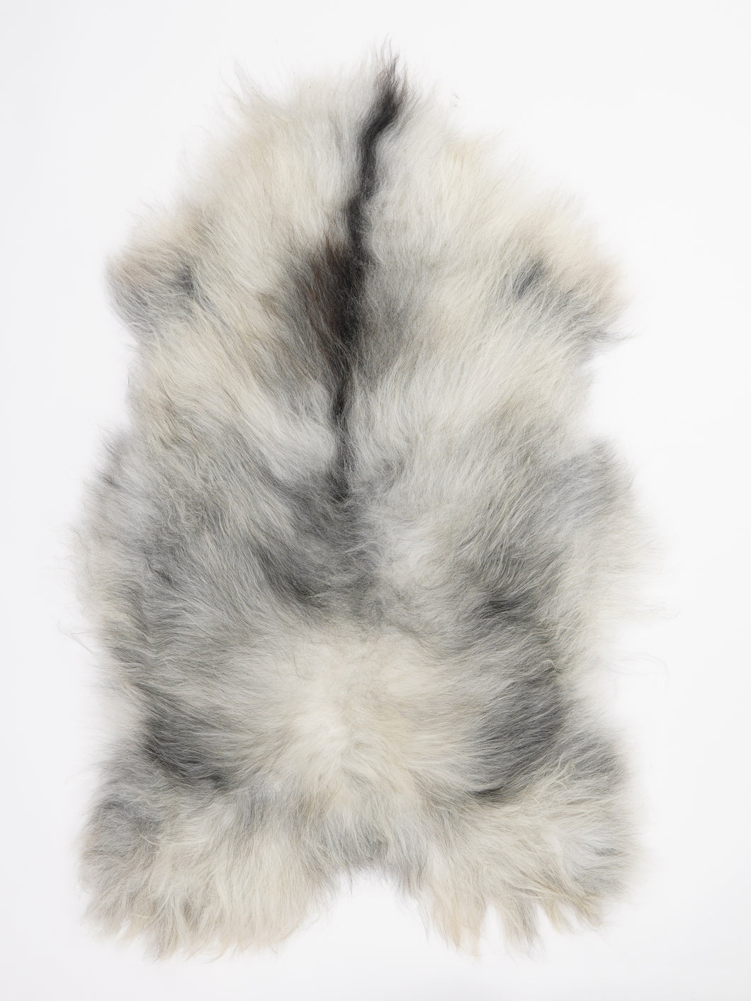 Pilkas islandiškas avikailis XL