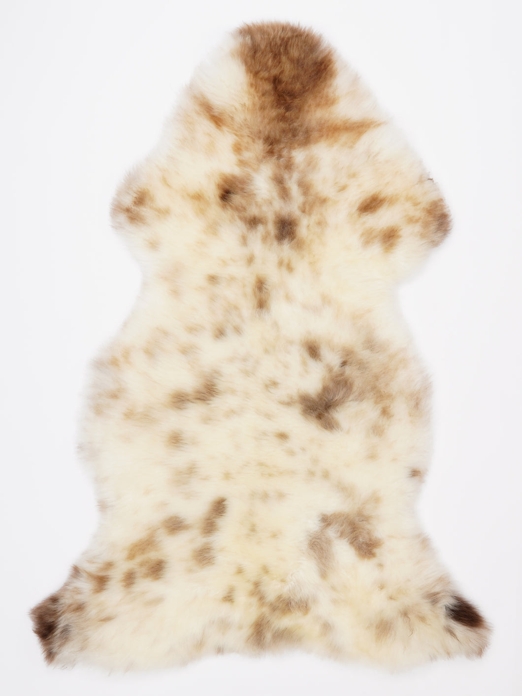 Įvairiaspalvis avikailis XL