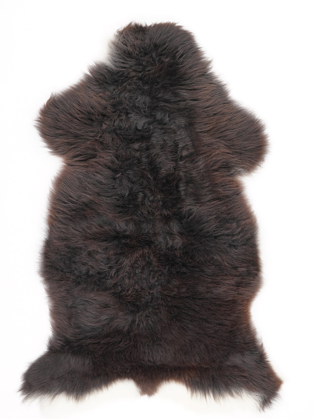 Įvairiaspalvis avikailis L