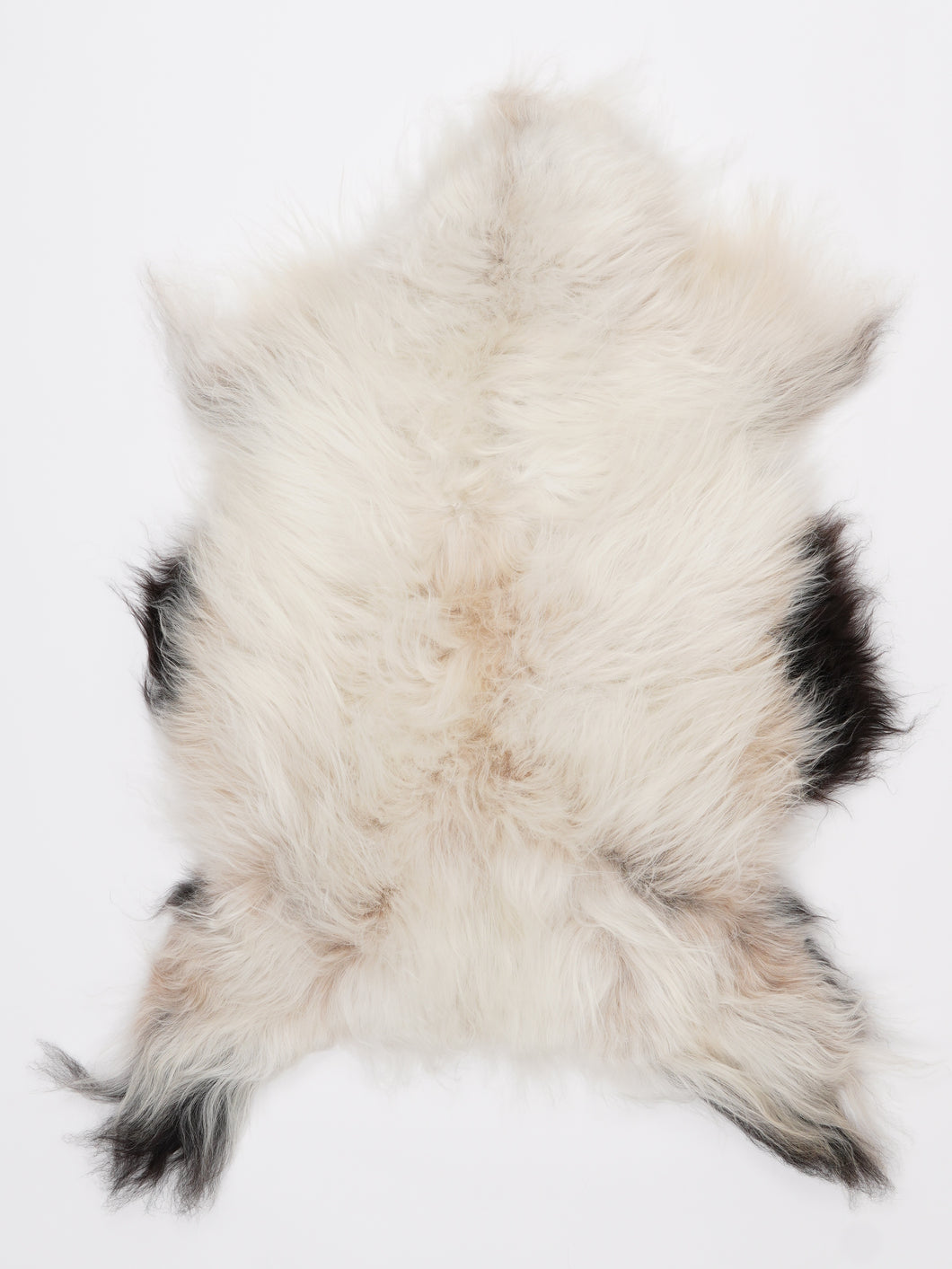 Islandiškas avikailis M