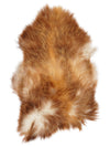 Islandes aitāda L