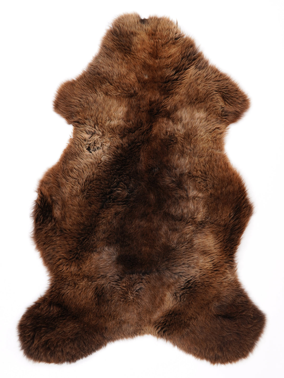 Įvairiaspalvis avikailis L