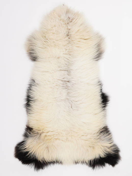 Įvairiaspalvis avikailis L