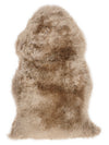 Jaunzēlandes aitāda