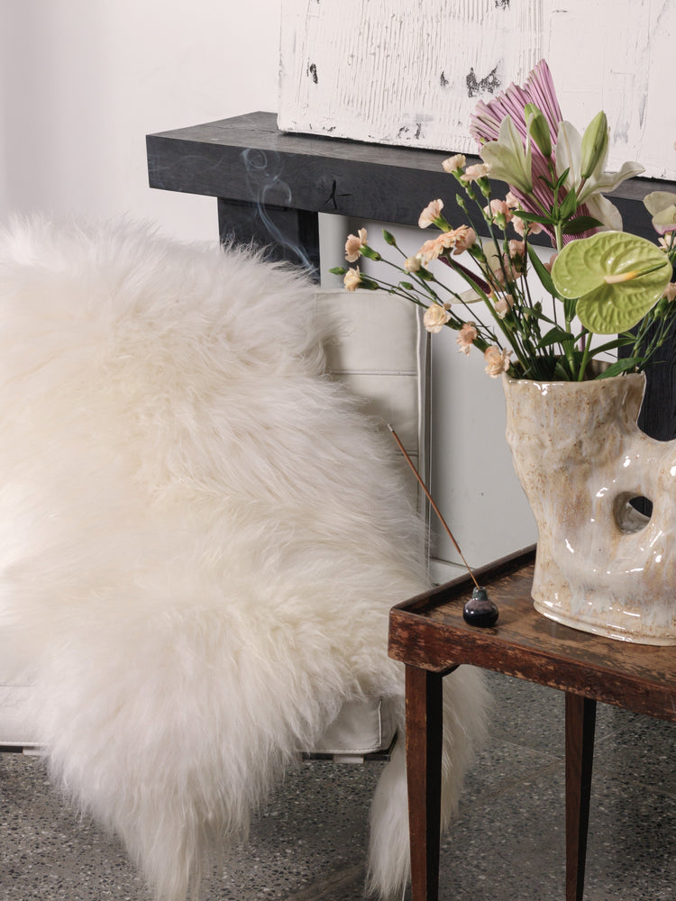 Baltas islandiškas avikailis