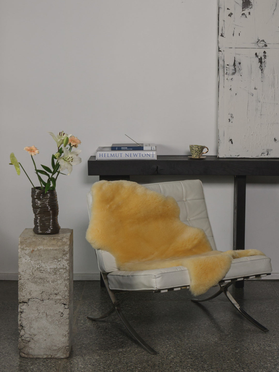 Medicīniskā aitāda (īpaši īsi mati)