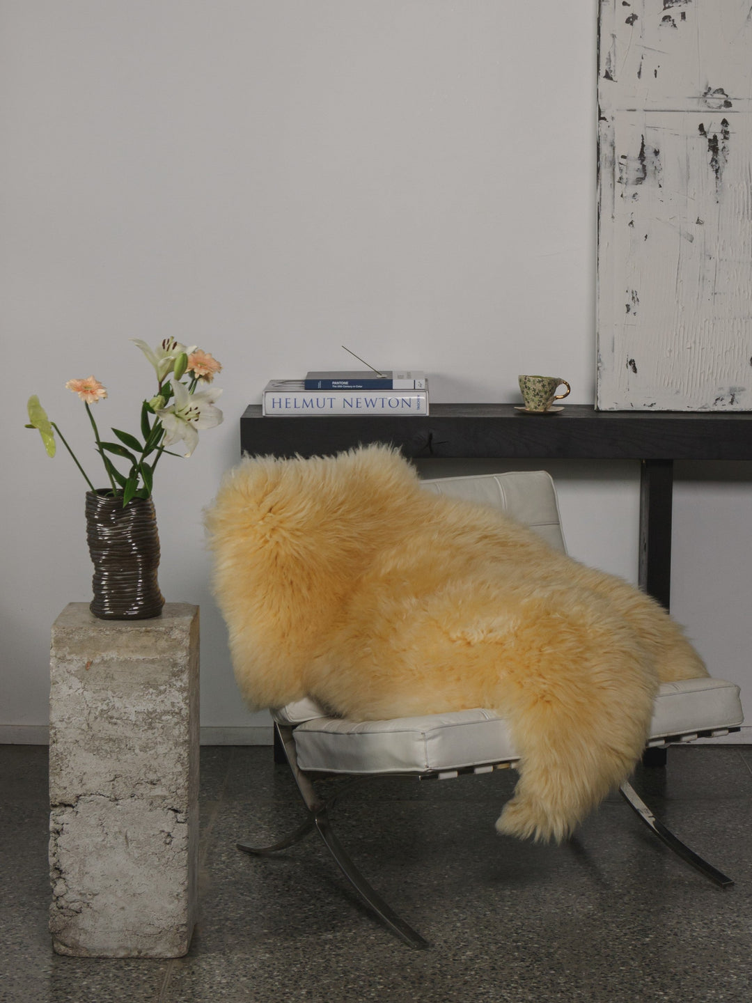 Medicīniskā aitāda 