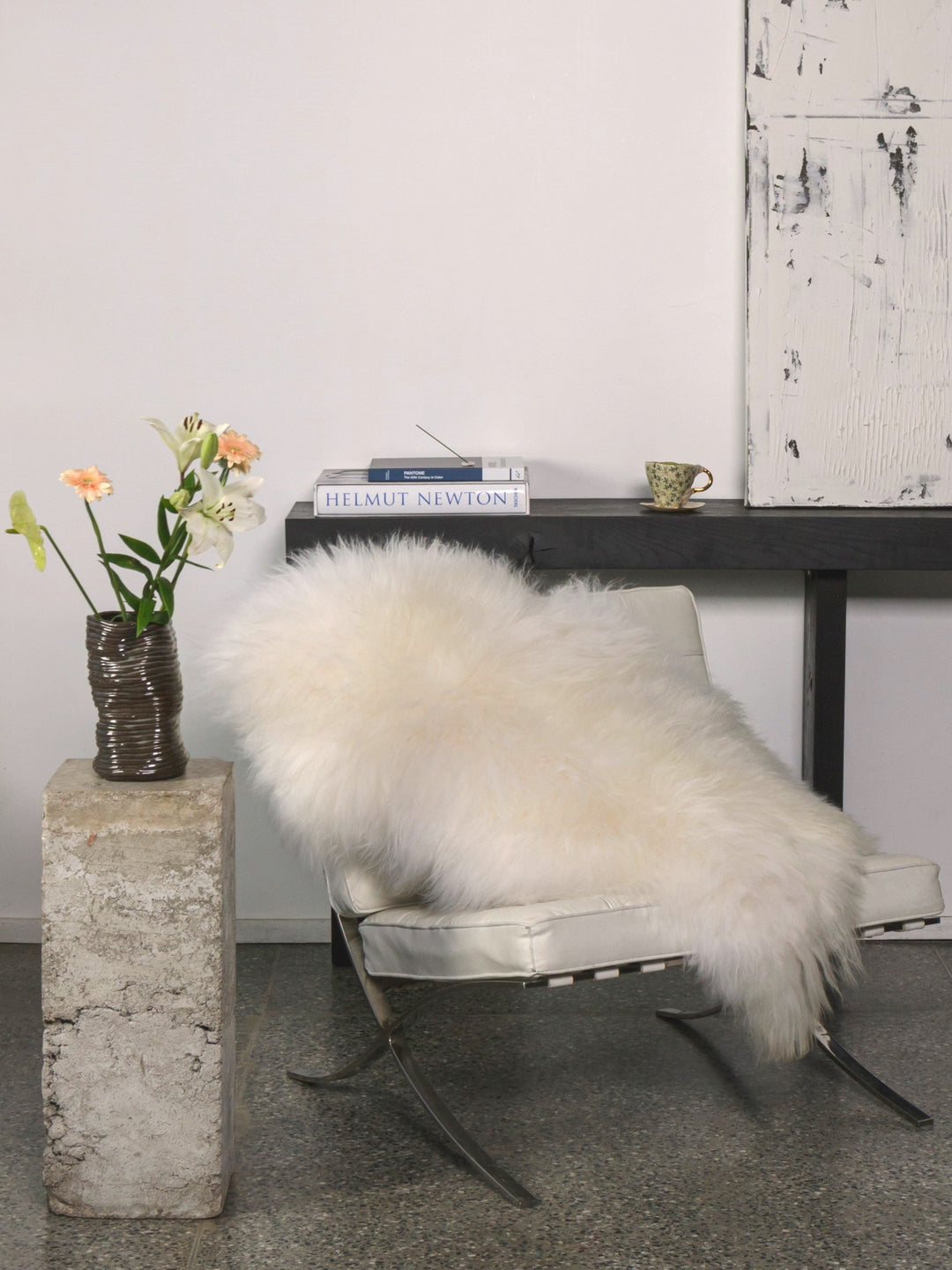 Balta islandiešu aitāda 