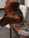 Rudas avikailis "Rusty"